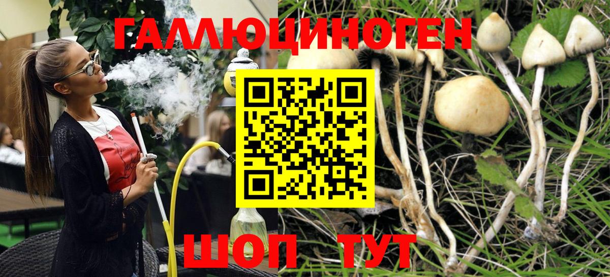 Псилоцибиновые грибы прущие грибы Звенигород
