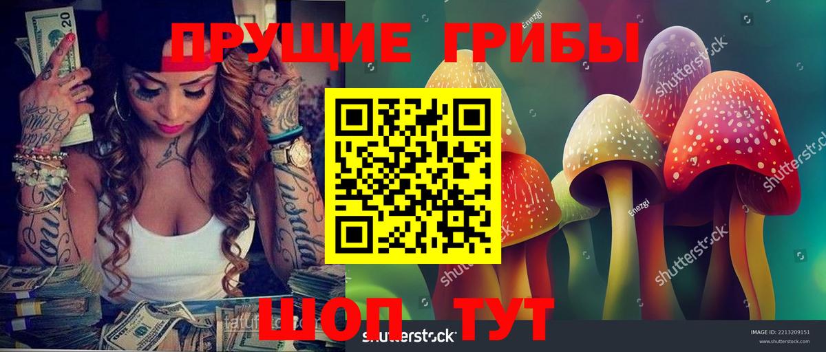 Звенигород  купить наркотики сайты  Галлюциногенные грибы MAGIC MUSHROOMS  Вход с VPN  Псилоцибиновые грибы Magic Shrooms 