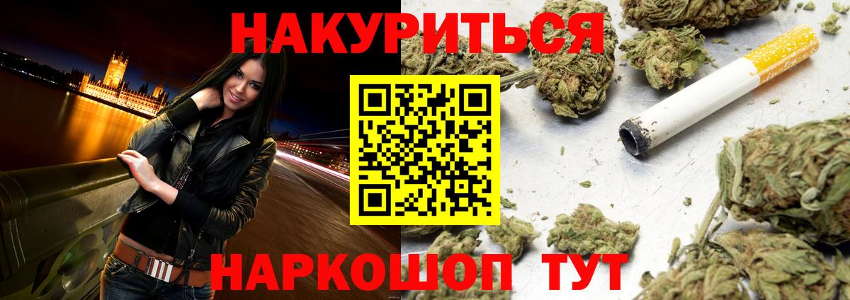 Каннабис сатива Звенигород